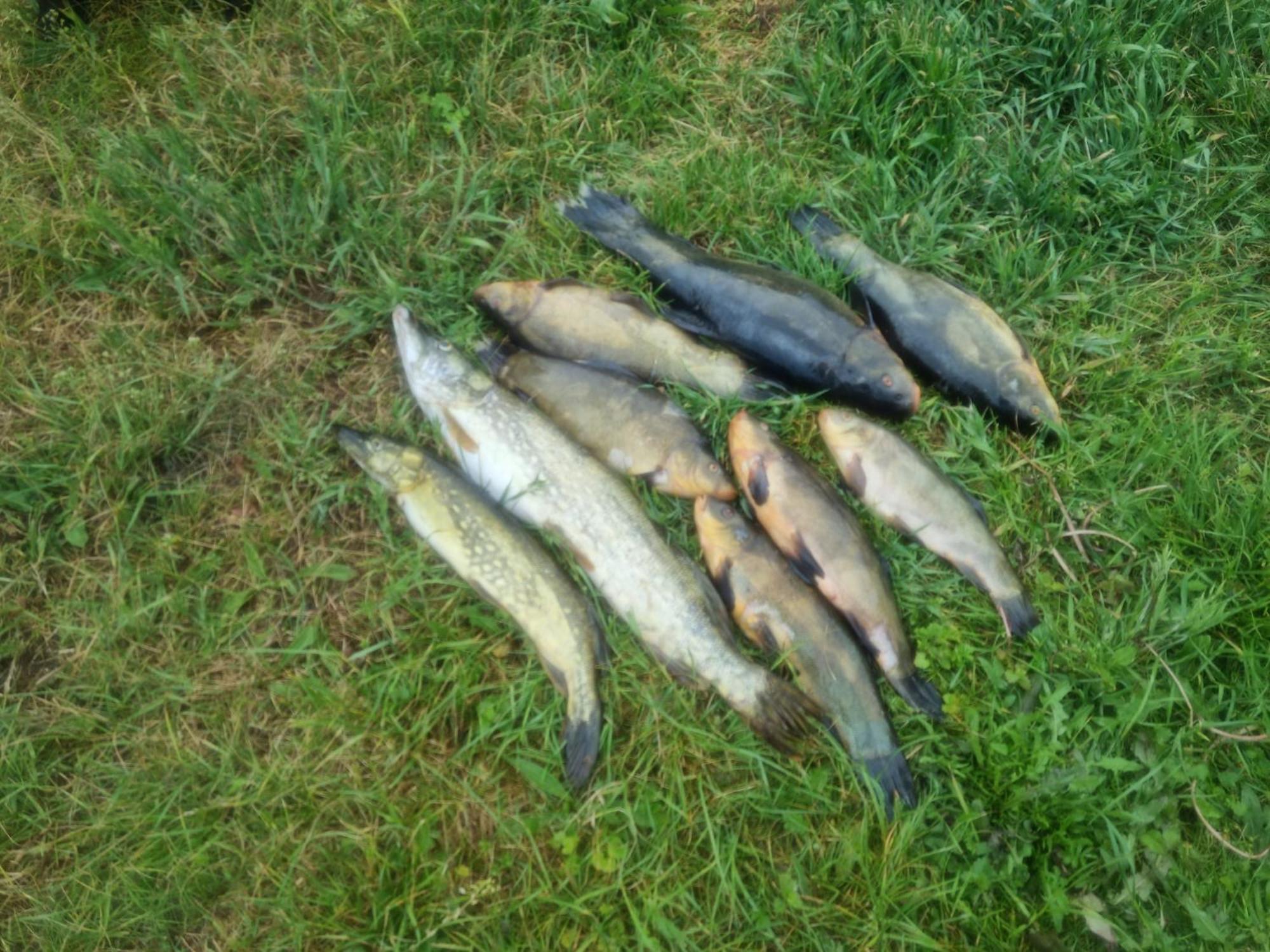 Villa Eko-Fish Miastko Esterno foto