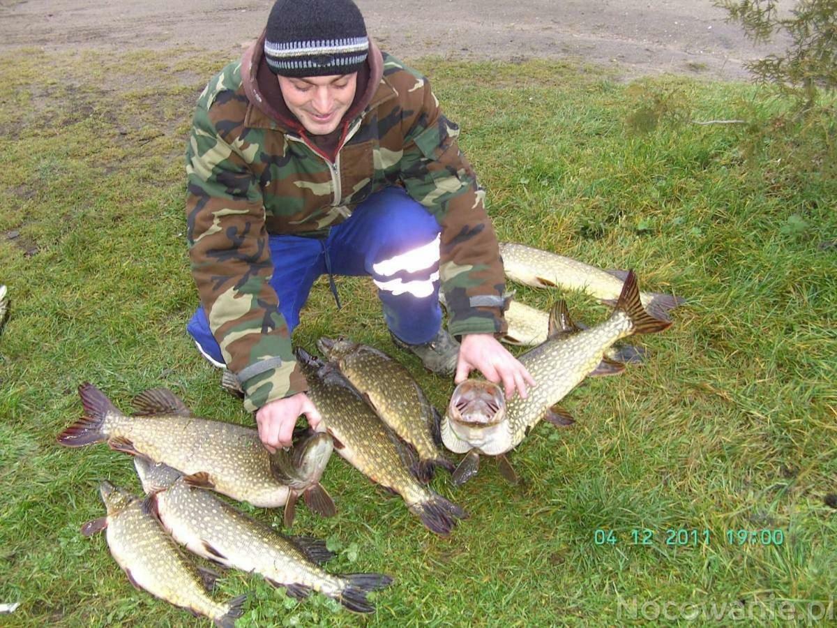 Villa Eko-Fish Miastko Esterno foto