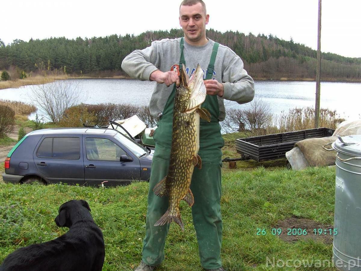 Villa Eko-Fish Miastko Esterno foto